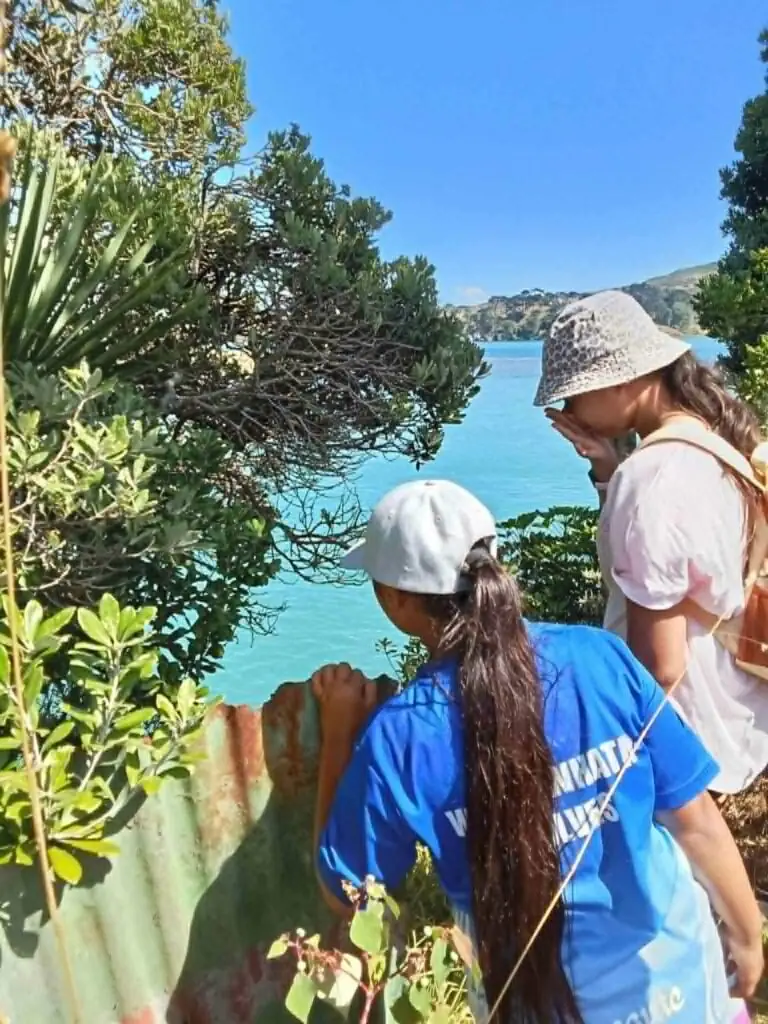 Two individuals observe a scenic view by the water, surrounded by lush greenery and a rusted metal fence under clear blue skies.