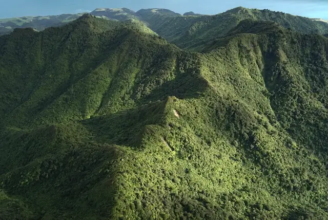 Lush green mountain landscape with rolling hills under bright sunlight, showcasing the natural beauty of Karioi.